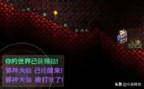 泰拉瑞亚肉山后装备顺序(打完肉山后射手换什么装备)插图5