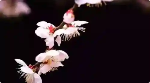 字谜大全500个有答案(故事谜10个)插图3