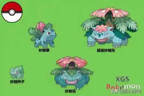 剑盾无神单打阵容搭配(剑盾pvp单打最强阵容)插图43