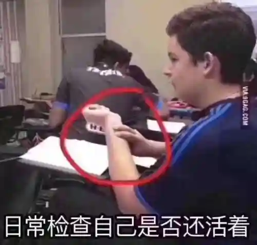 斗图表情包(小黑子专用表情包)插图13