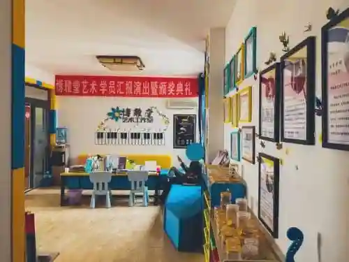 十大最难学的乐器(什么乐器可以参加艺考)插图25