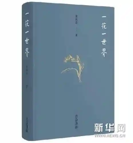 首无源博雅阵容搭配(圣地争锋4套阵容推荐)