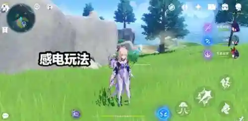 原神公子珊瑚阵容搭配(雄巴拉曲神水藏药珊瑚七十味价格)插图3