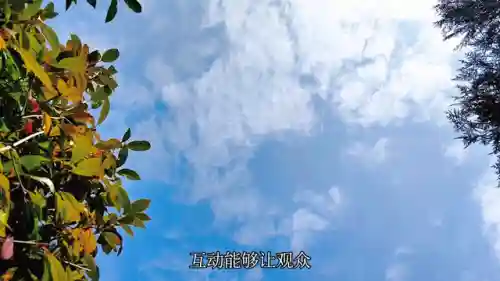 新手雨妈怎么搭配阵容(雨女9怎么过)插图1