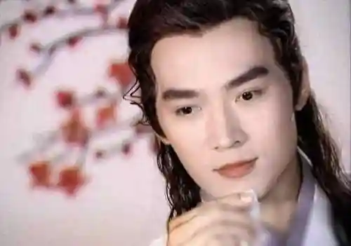 飞刀侠的阵容怎么搭配(雪刀群侠传阵容后期最强)插图5