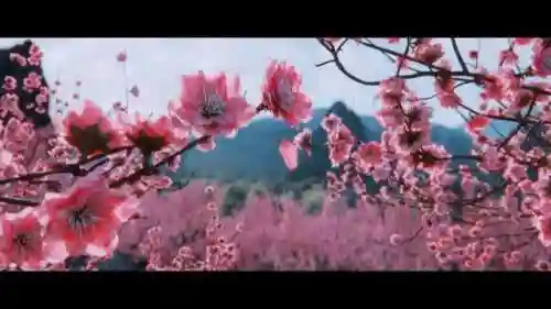 文明与征服将星阵容搭配(文明与征服平民最强阵容第一名)插图4 文明与征服将星阵容搭配(文明与征服平民最强阵容第一名)插图4