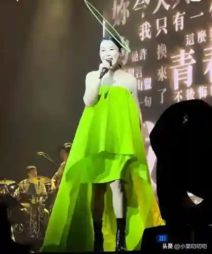 刘若英伦敦演唱会(刘若英还会开演唱会吗)插图4