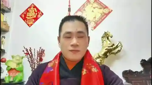 吉祥乌龟阵容怎么搭配最好(飞熊富贵骑最强阵容搭配)插图1