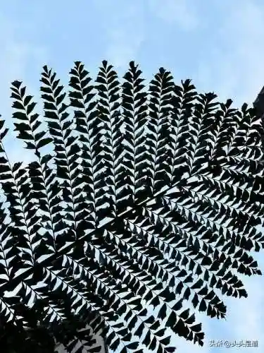 能量的平衡任务线详细(能量的平衡任务线不知道断在哪里了)