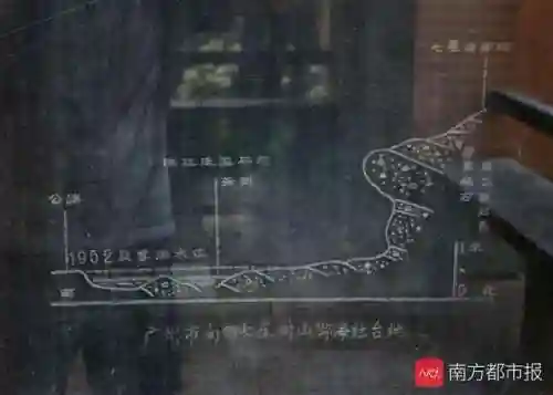 精灵遗迹铭文搭配推荐阵容(王者武道大会最强阵容带什么铭文)插图1