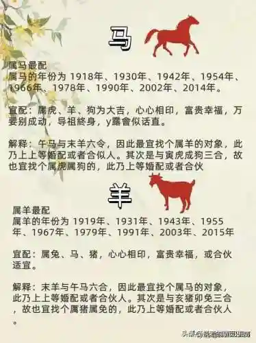 最佳好友阵容搭配图表高清(最佳阵容下载)插图2