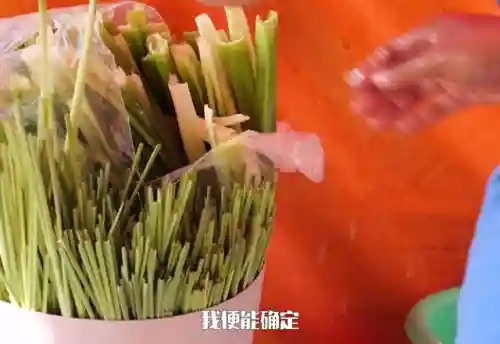 武魂觉醒水风阵容搭配(斗罗大陆武魂觉醒最强阵容)