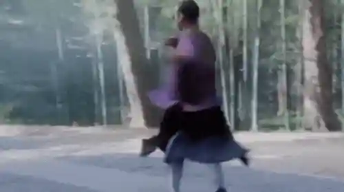 武林小子最佳搭配阵容推荐(少侠江湖志最强阵容)插图42