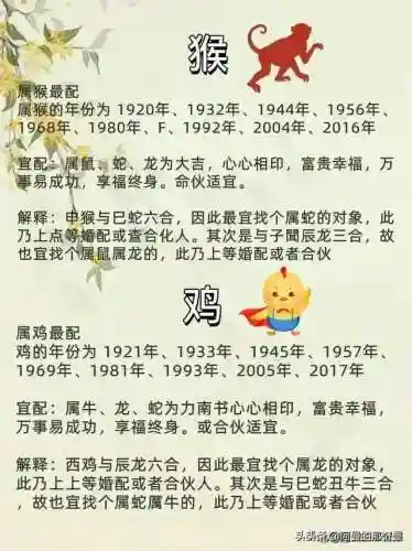 时空猎人3雷兔阵容搭配(时空猎人3最强角色)插图6 时空猎人3雷兔阵容搭配(时空猎人3最强角色)插图6
