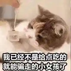 网上特别火的那个猫表情包(猫咪摇头表情包动图)插图33 网上特别火的那个猫表情包(猫咪摇头表情包动图)插图33