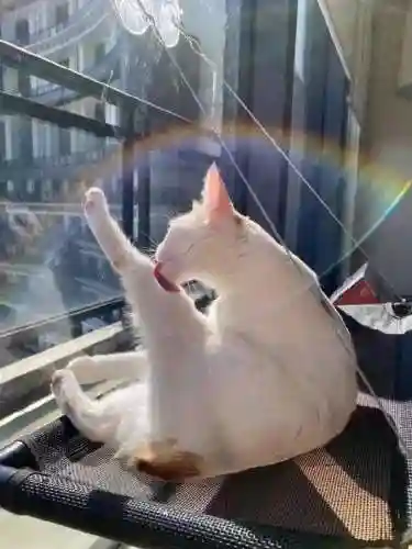 猜图片带答案大全(看图猜成语扫一扫图)插图89