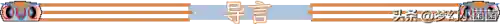 仙决前期阵容搭配图(永恒仙域阵容搭配)插图1