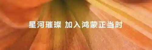 华为游戏中心网页版(华为应用市场网页版入口)插图8
