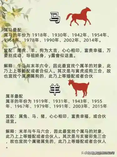 命运传说阵容搭配攻略图(命运战歌最强阵容搭配)插图2