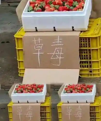 猜图片带答案大全(看图猜成语扫一扫图)插图35