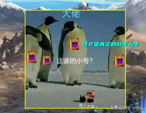 dnf女剑帝(110级版本剑帝毕业装备搭配)插图8 dnf女剑帝(110级版本剑帝毕业装备搭配)插图8