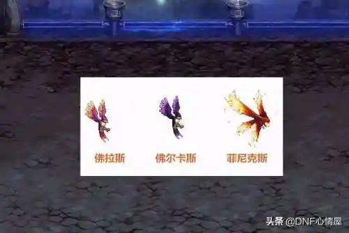 dnf佛拉斯怎么进化(dnf100版本佛拉斯还能进化吗)