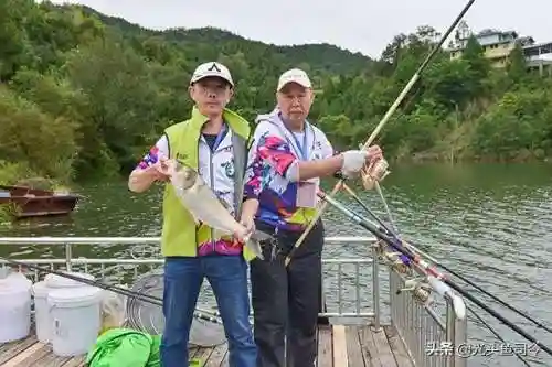 王者之战战队阵容搭配推荐(名将令王者之战阵容十10)插图4