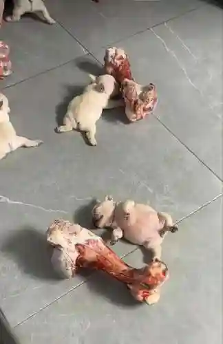 猜图片带答案大全(看图猜成语扫一扫图)插图55