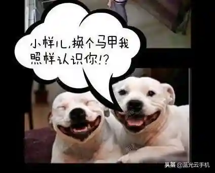火影忍者蓝光搭配阵容(火影忍者ol最高追打阵容)插图9