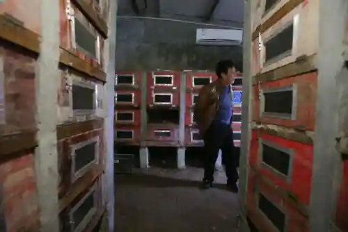 中国第一蛇王(中国最漂亮的毒蛇)插图4