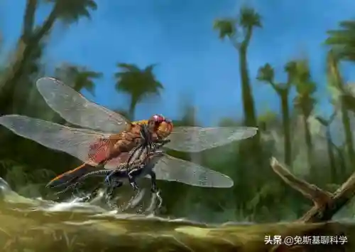加拉帕格斯巨人蜈蚣(蜈蚣对男性的作用与疗效)插图4