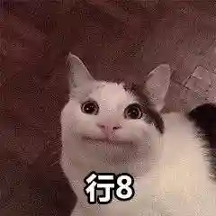 网上特别火的那个猫表情包(猫咪摇头表情包动图)插图30 网上特别火的那个猫表情包(猫咪摇头表情包动图)插图30