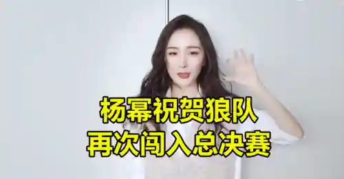 狼队助威阵容搭配图解大全(独行侠队首发阵容)插图1
