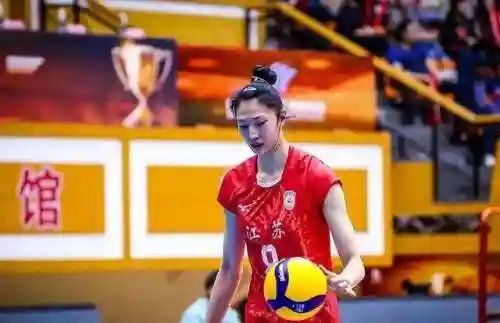 美国女排搭配阵容图表最新(中国女排最强阵容名单)插图9