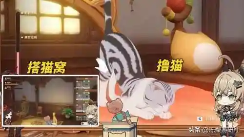 老龙王阵容搭配原神(2.0原神适合平民的四大最强阵容)插图6