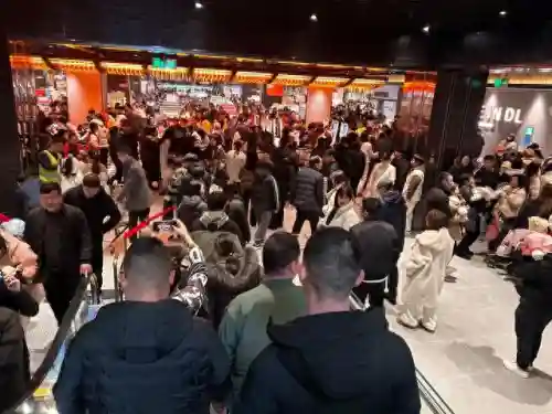 幻域顶配怎么搭配阵容(幻境试炼阵容搭配攻略)