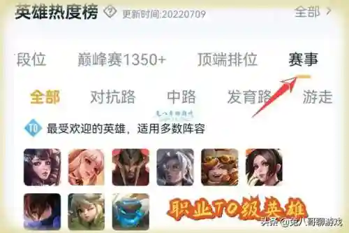 兔八哥阵容搭配(精灵宝可梦队伍搭配)