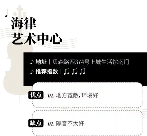十大最难学的乐器(什么乐器可以参加艺考)插图15