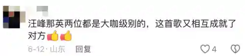 汪峰助唱阵容搭配图(2021年中国好声音汪峰的搭档)插图7