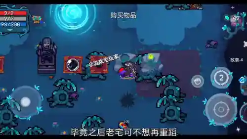 刺客影盾搭配什么阵容(光羽刺客最佳阵容)插图4