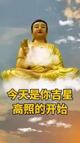 天选之子如何搭配阵容(天选福星最强阵容推荐)插图4