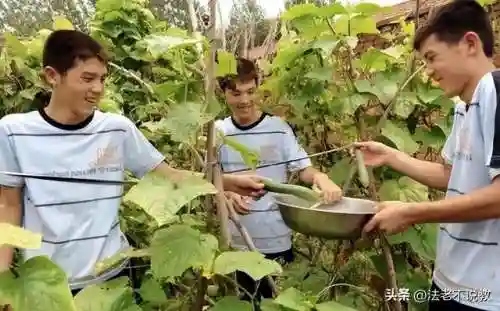福星小法老阵容搭配图片(2021云顶6福星阵容搭配图)插图10 福星小法老阵容搭配图片(2021云顶6福星阵容搭配图)插图10