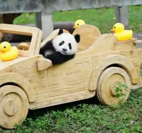 玩具大卡车(儿童玩具翻斗车)插图5