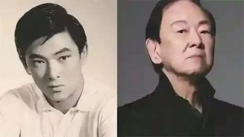 秦剑怎么搭配阵容最好用(七杀剑最佳搭配阵容)插图10