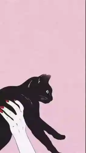 好看的高清图片(免费大自然风景图片)插图40