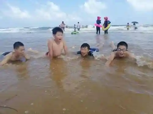 洛克王国红顶剑龙怎么进化(洛克王国龙系宠物在哪里超进化)插图28