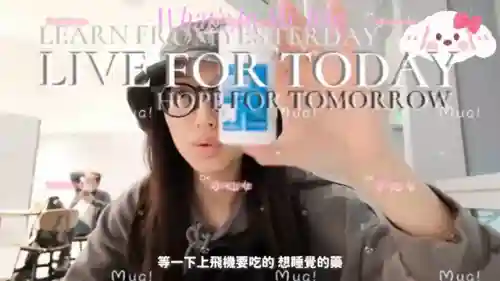 打牌游戏软件(手机上打牌下载什么软件)