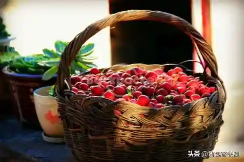 三幻潘长江阵容搭配(三孙阵容怎么这么菜)插图36
