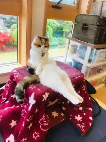 猜图片带答案大全(看图猜成语扫一扫图)插图16