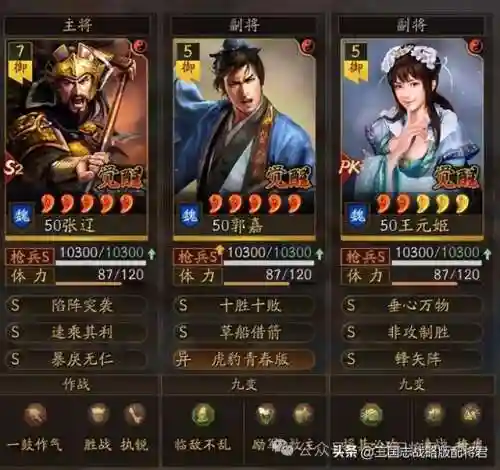 张辽阵容搭配加点攻略(三国志战略版张辽最强阵容)插图1